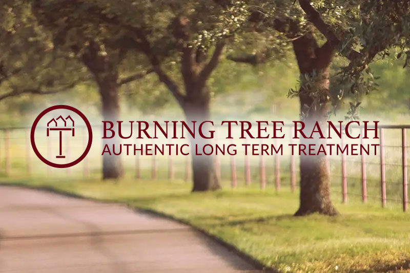 Divorce & Family Attorneys - Burning Tree Ranch